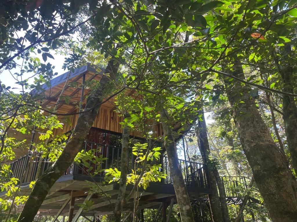 Cabanas Roca Verde Monteverde Kültér fotó