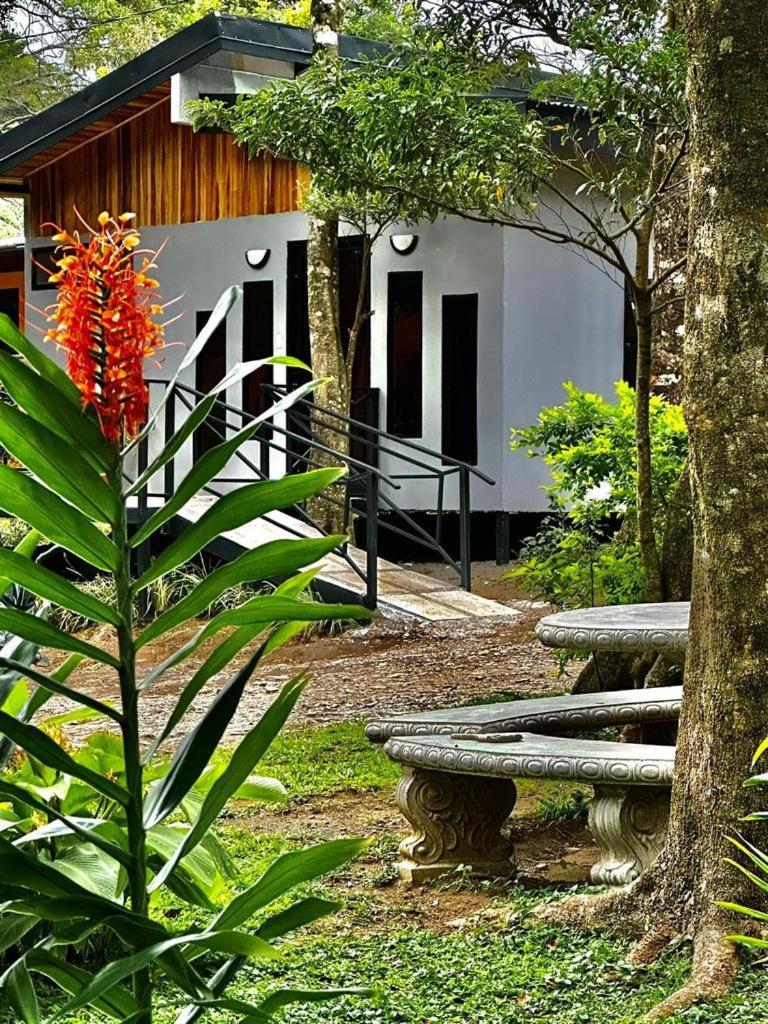 Cabanas Roca Verde Monteverde Kültér fotó