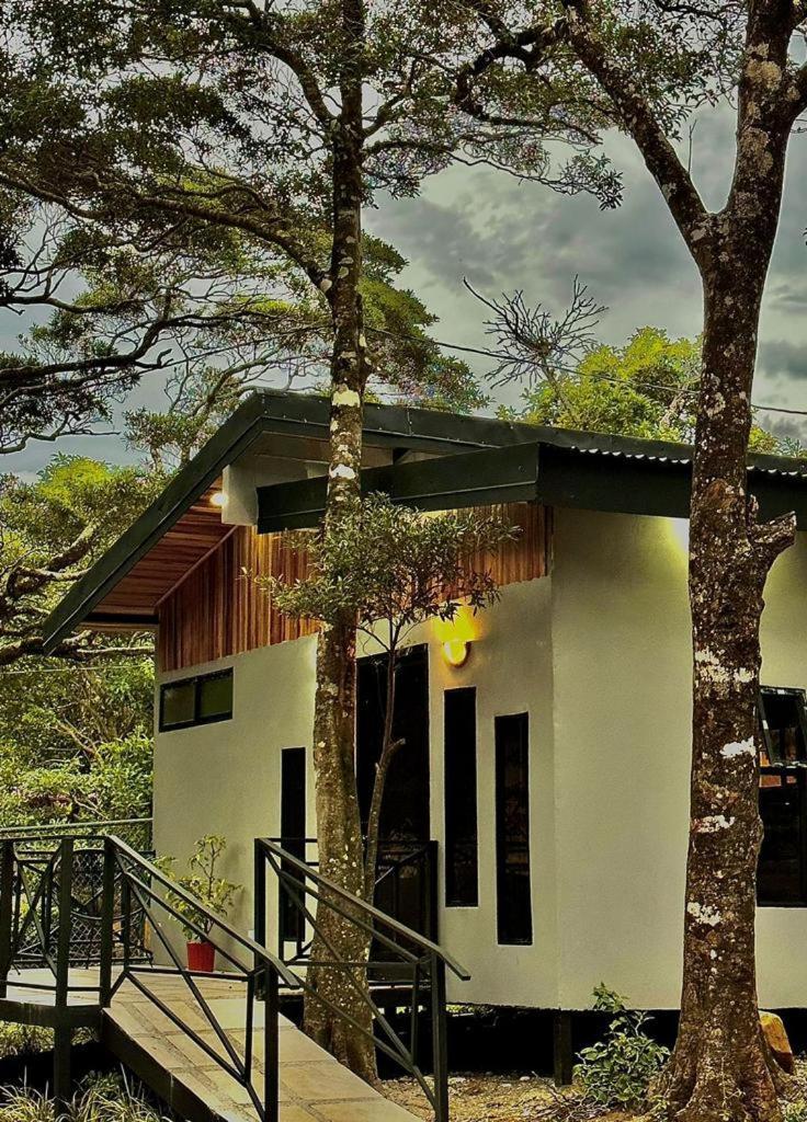 Cabanas Roca Verde Monteverde Kültér fotó